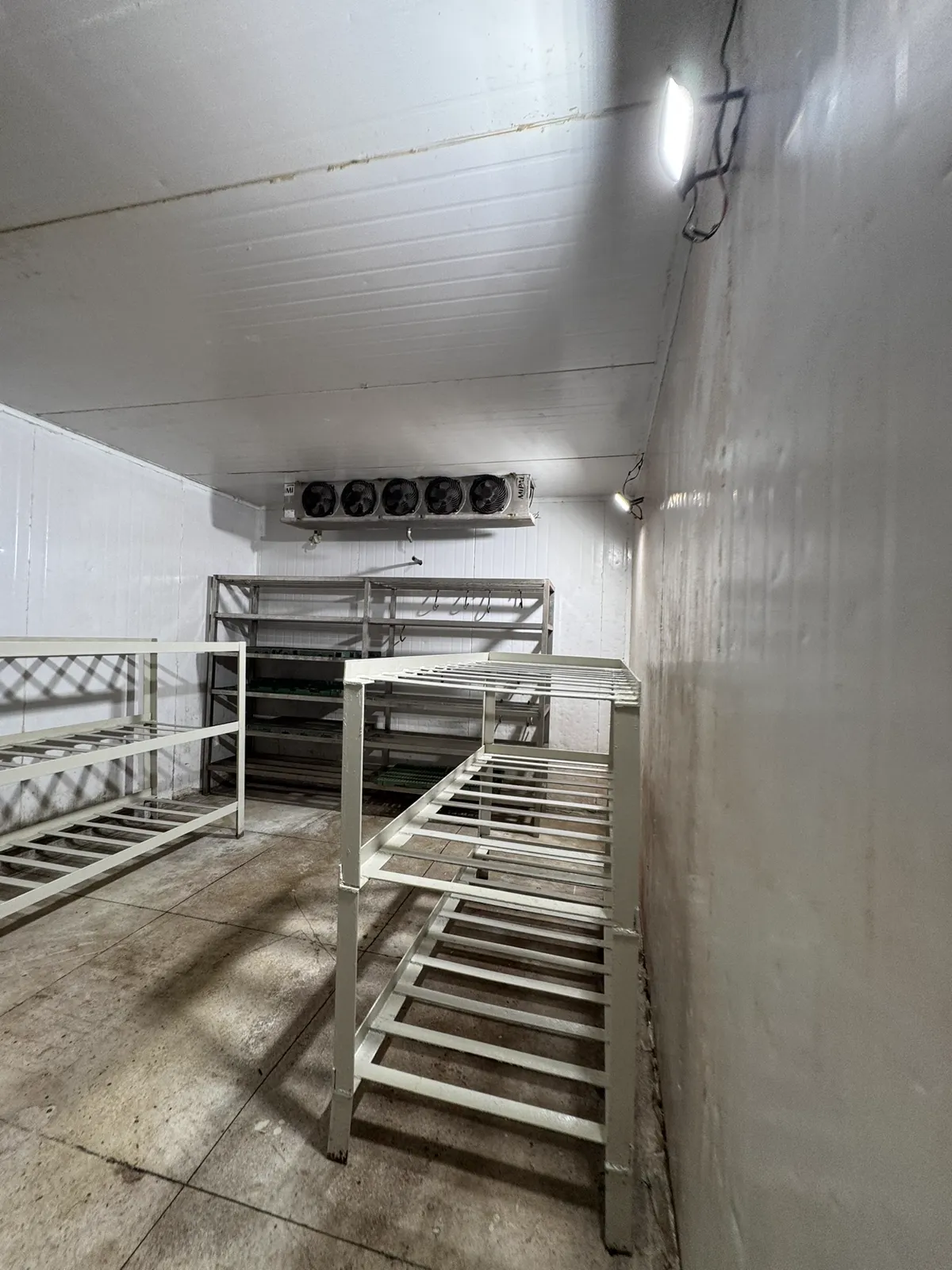 Câmara fria com conjunto de ventiladores e prateleiras